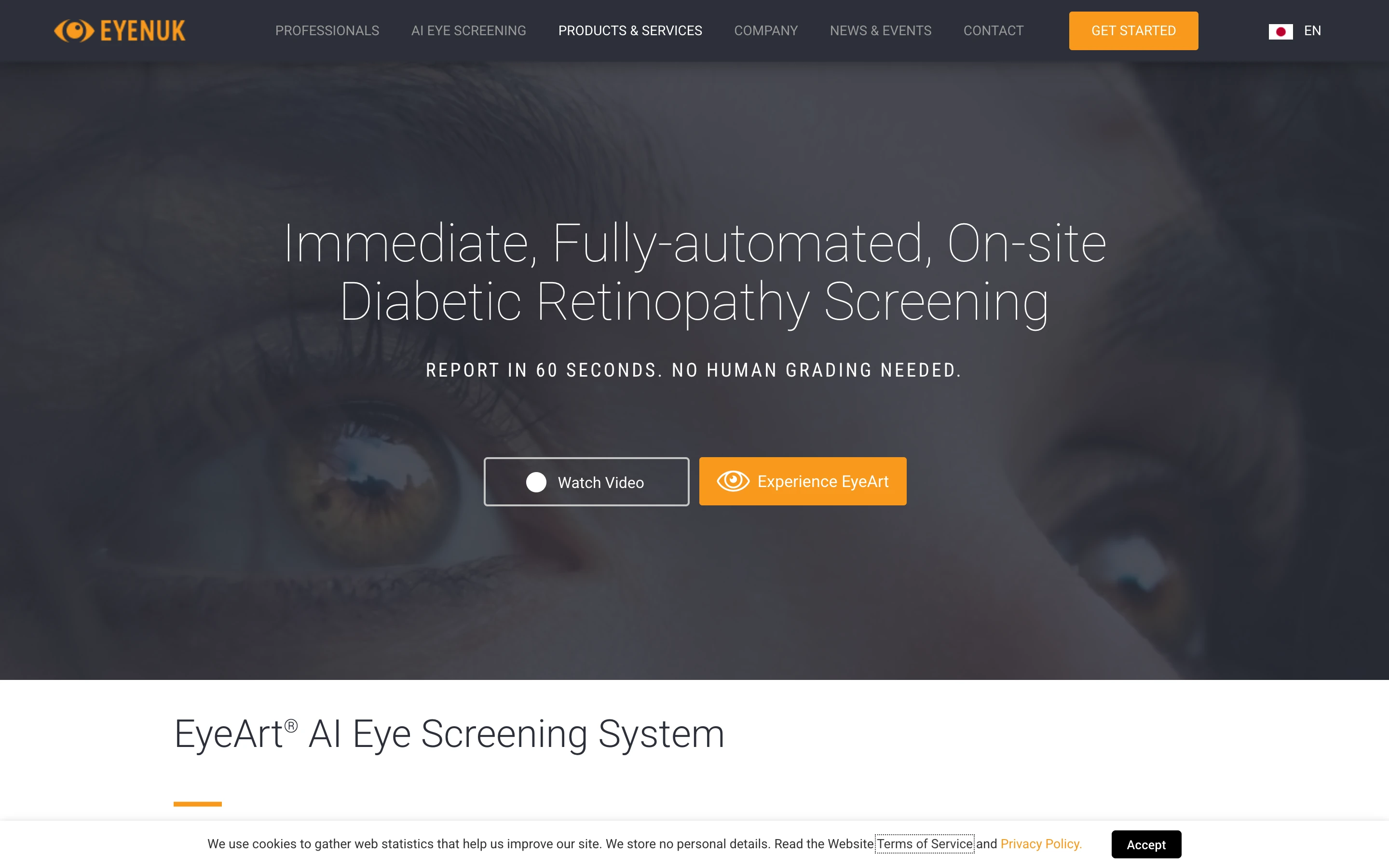 EyeArt 公式サイトのヒーローセクション。眼を背景に「Immediate, Fully-automated, On-site Diabetic Retinopathy Screening」「REPORT IN 60 SECONDS. NO HUMAN GRADING NEEDED.」と掲げる